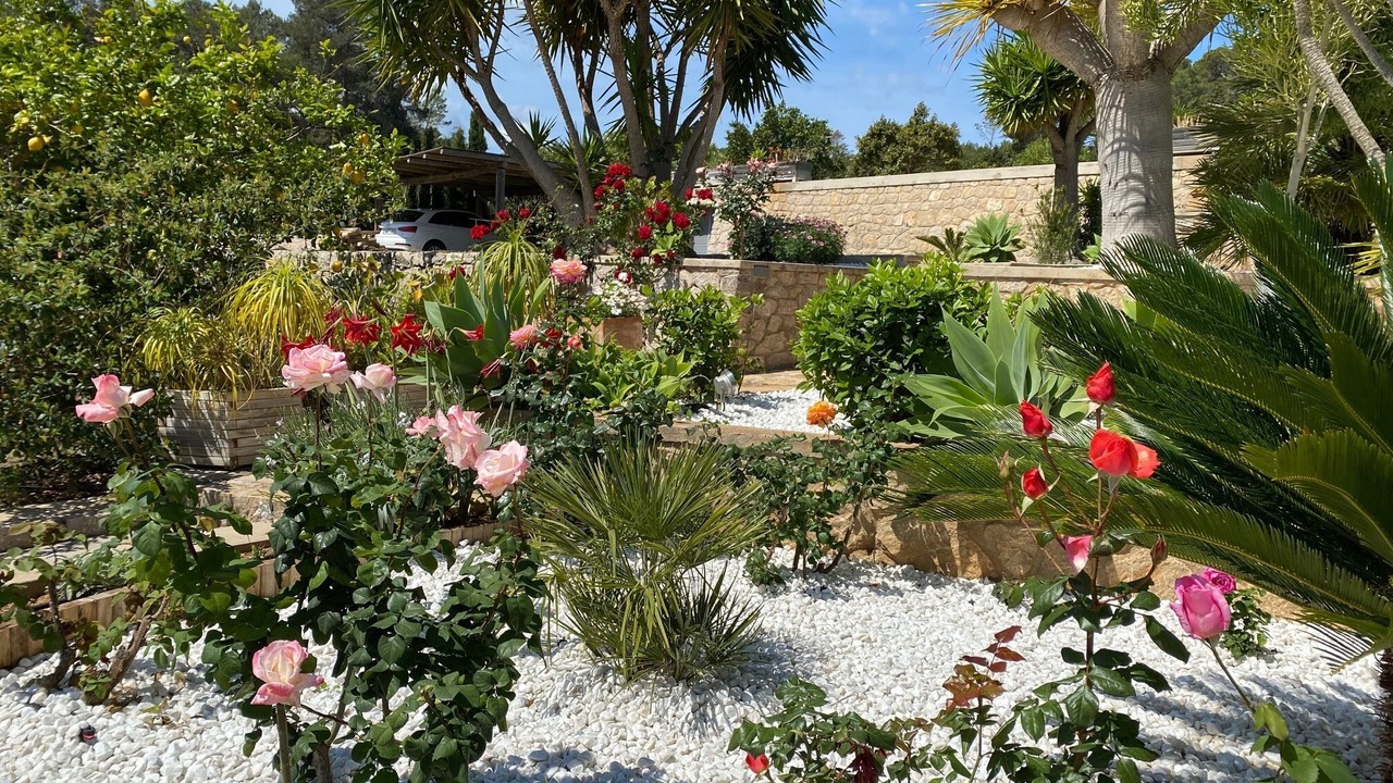 Photo of Outdoor in San Juan Bautista
