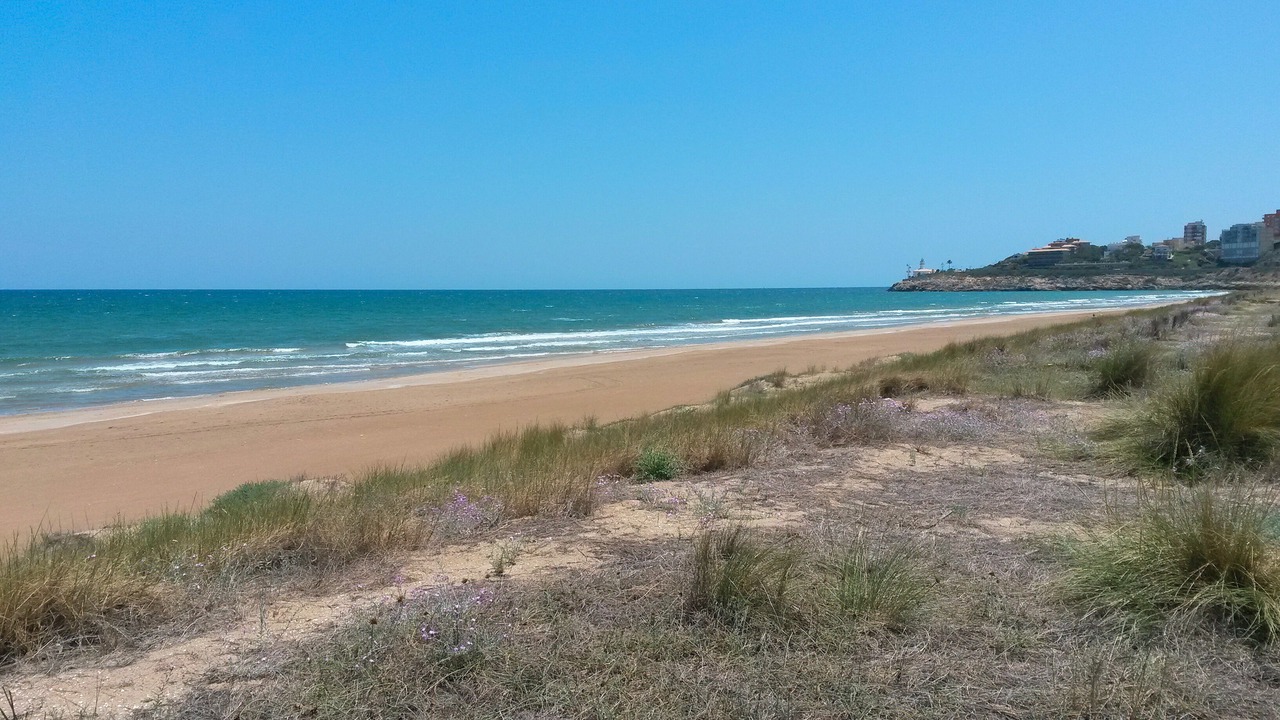 Photo of Others in Cullera