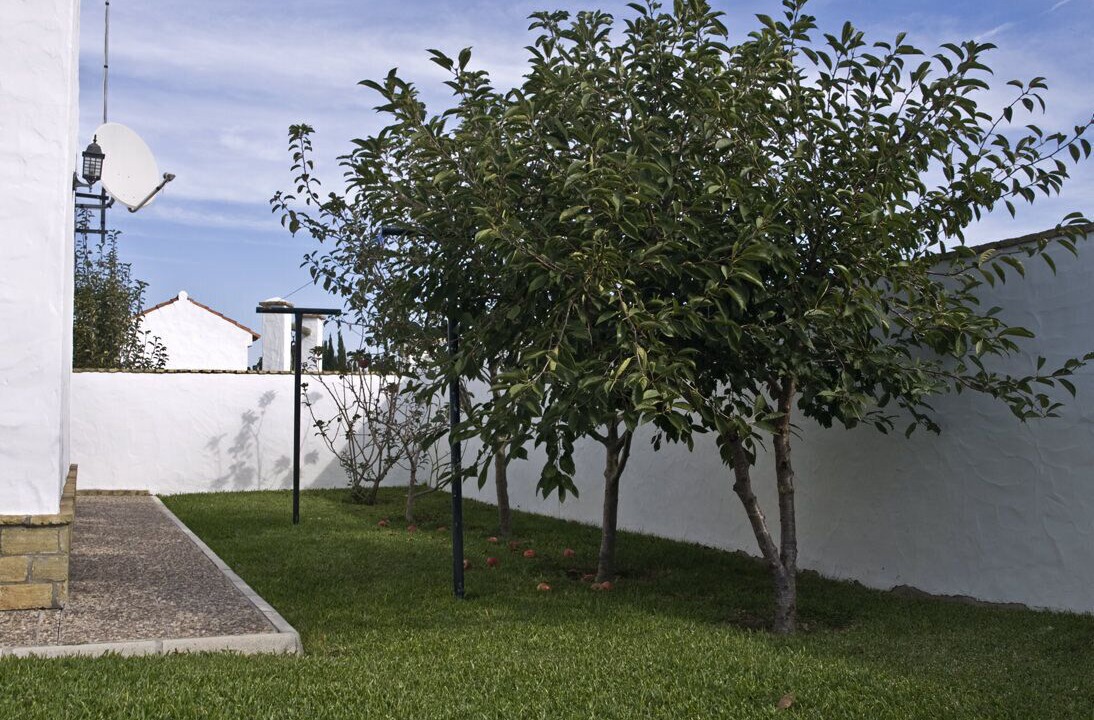 Photo of Outdoor in Campano