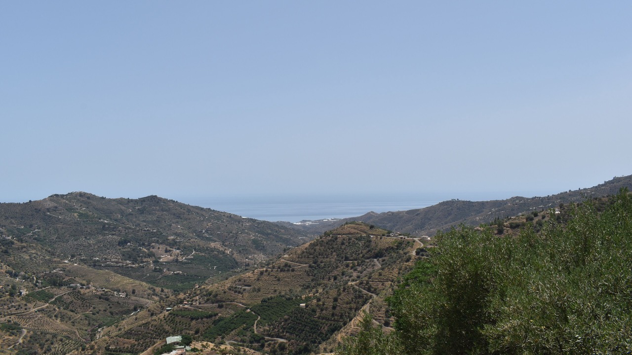 Photo of Others in Competa