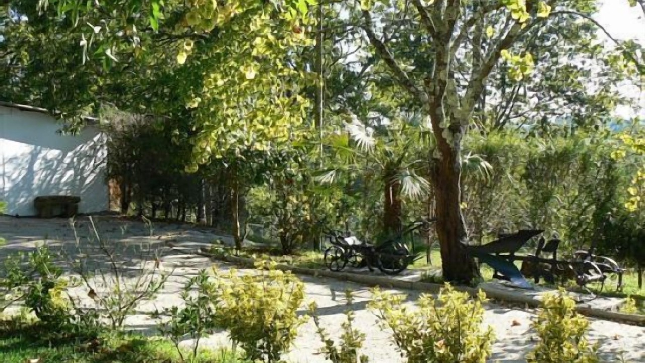 Photo of Outdoor in Tomino