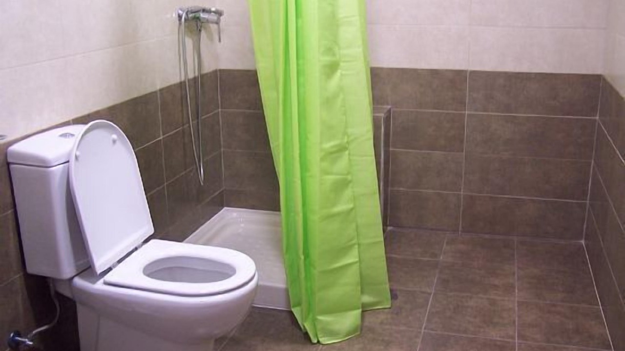 Photo of Bathroom in Tomino