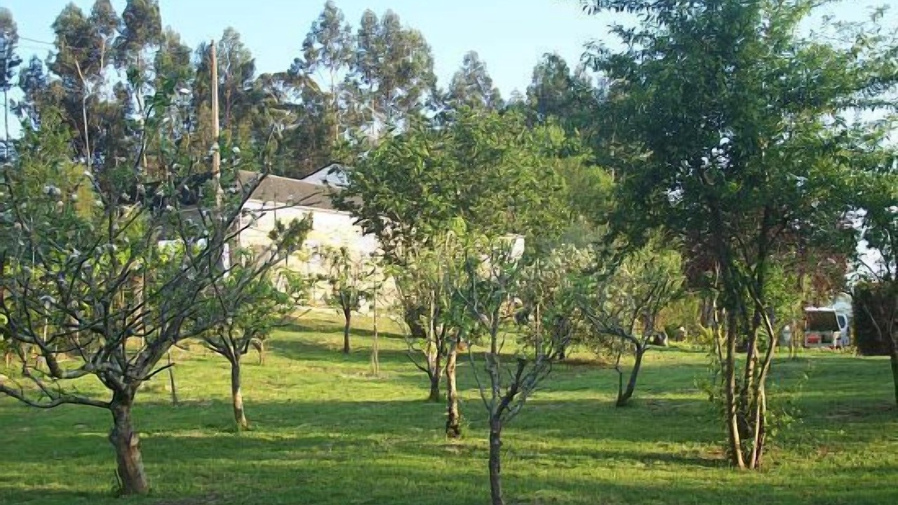 Photo of Outdoor in Tomino