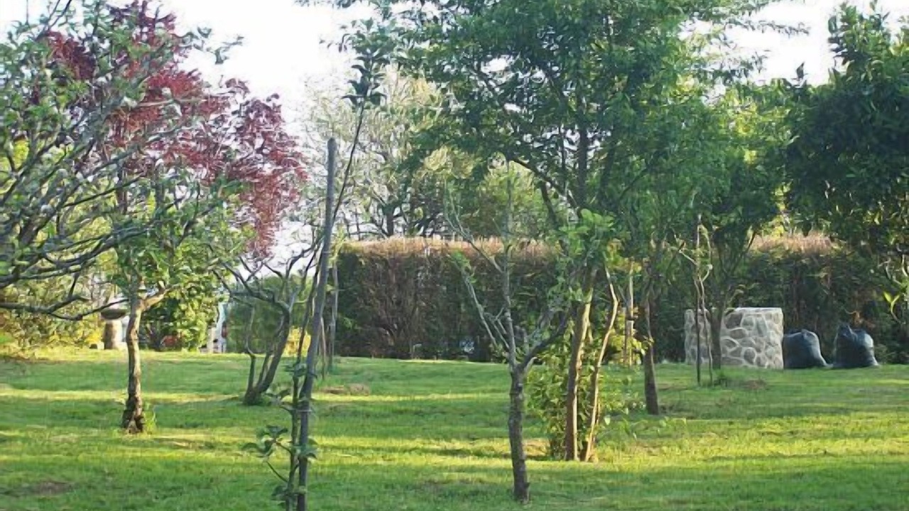 Photo of Outdoor in Tomino