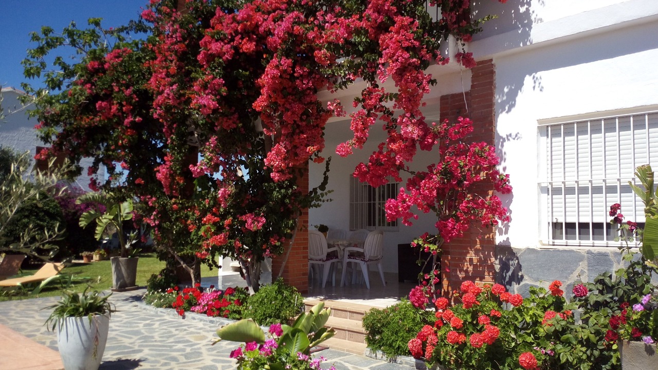 Photo of Outdoor in Alcossebre