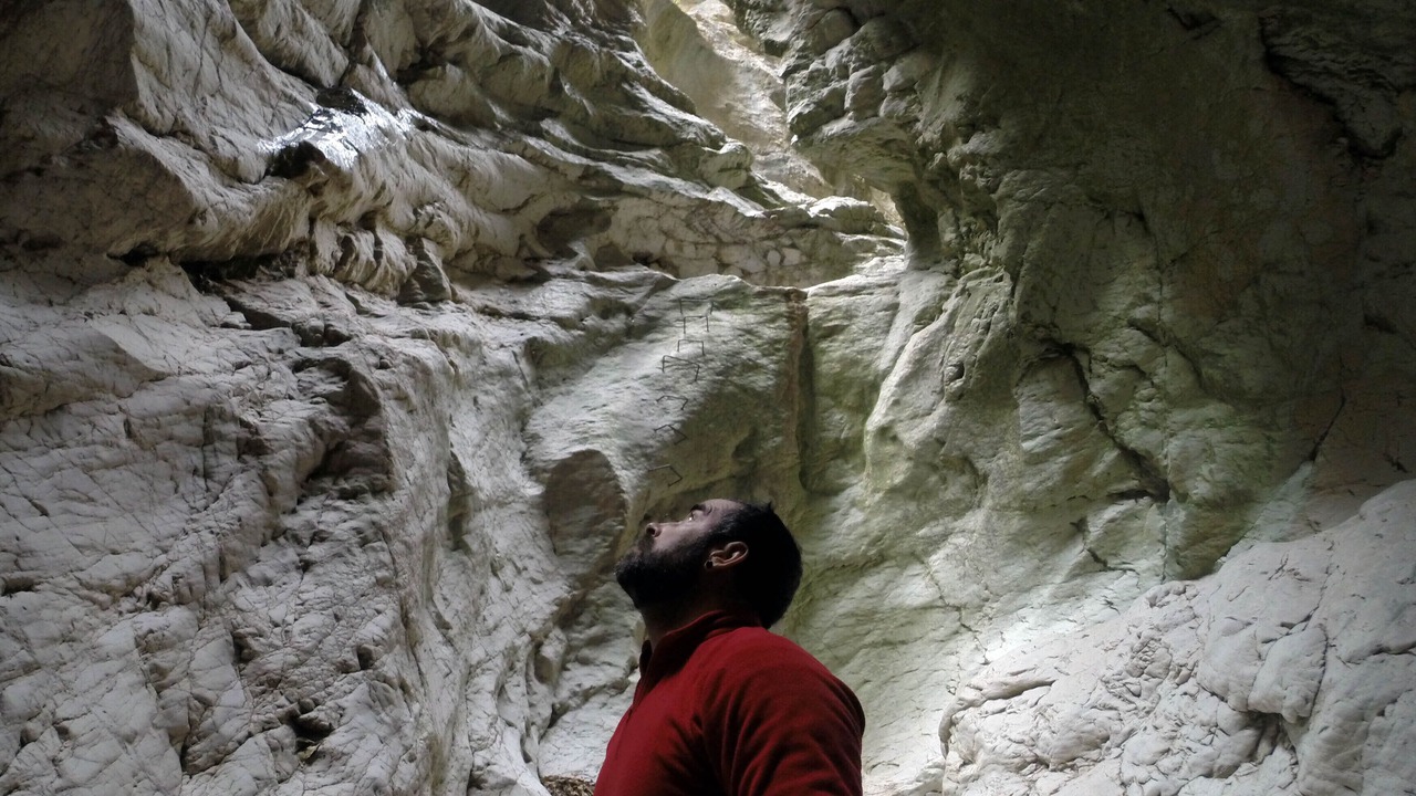 Photo of Others in Orba