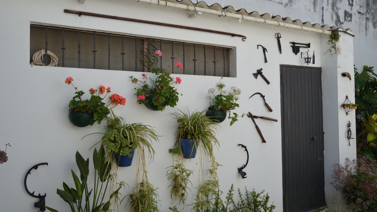 Photo of Outdoor in Sanlucar de Barrameda