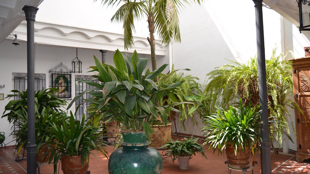 Photo of Outdoor in Sanlucar de Barrameda