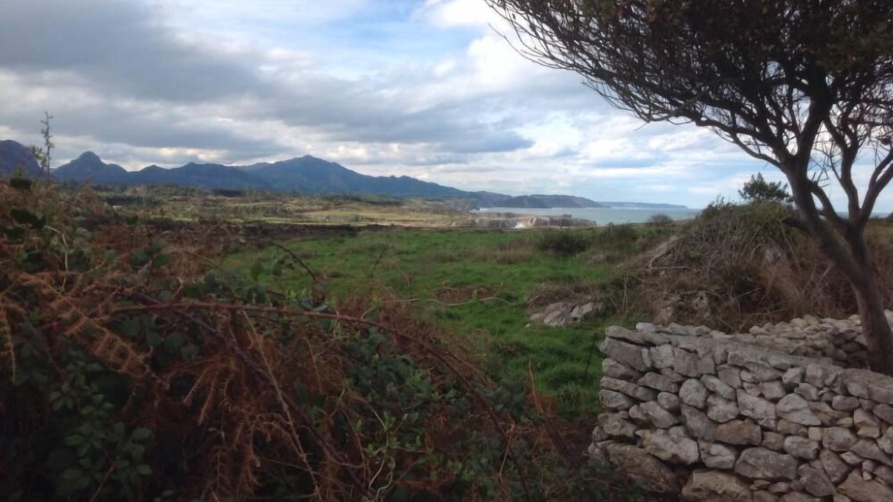 Photo of Outdoor in La Pesa
