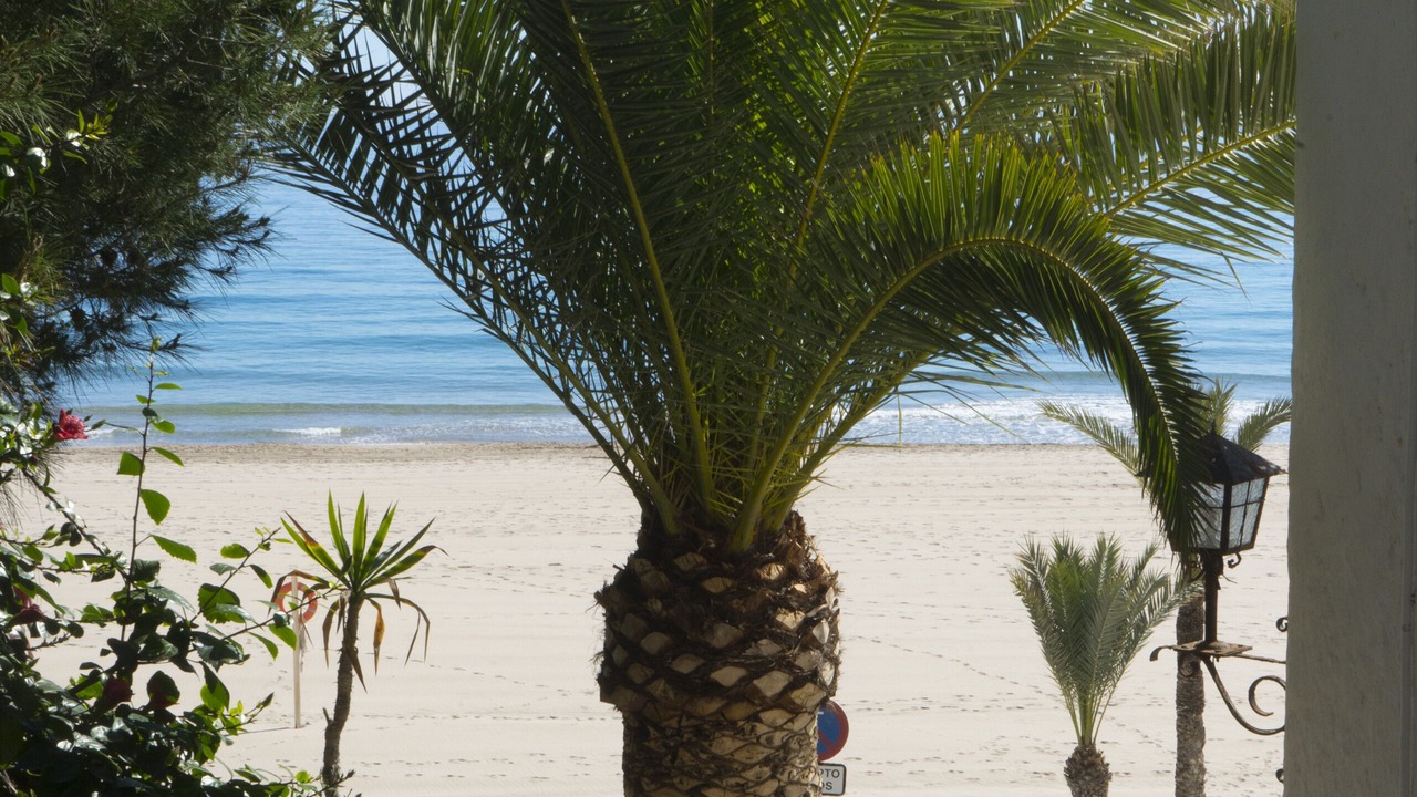 Photo of Others in Cala