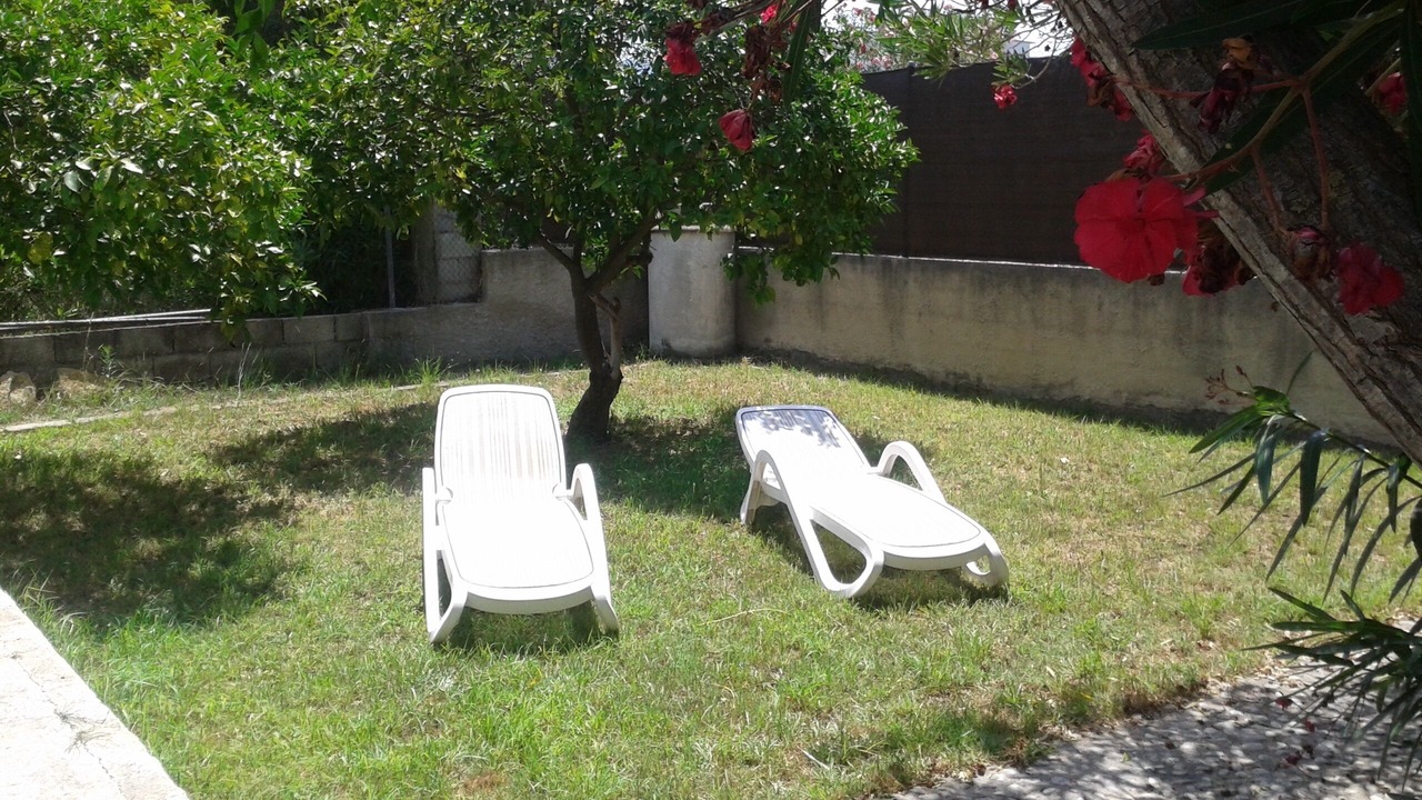 Photo of Outdoor in Oliva