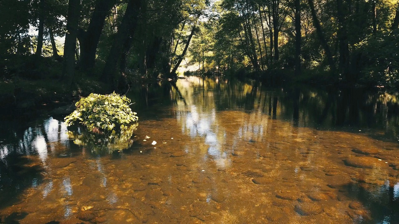 Photo of Outdoor in Arenas de San Pedro
