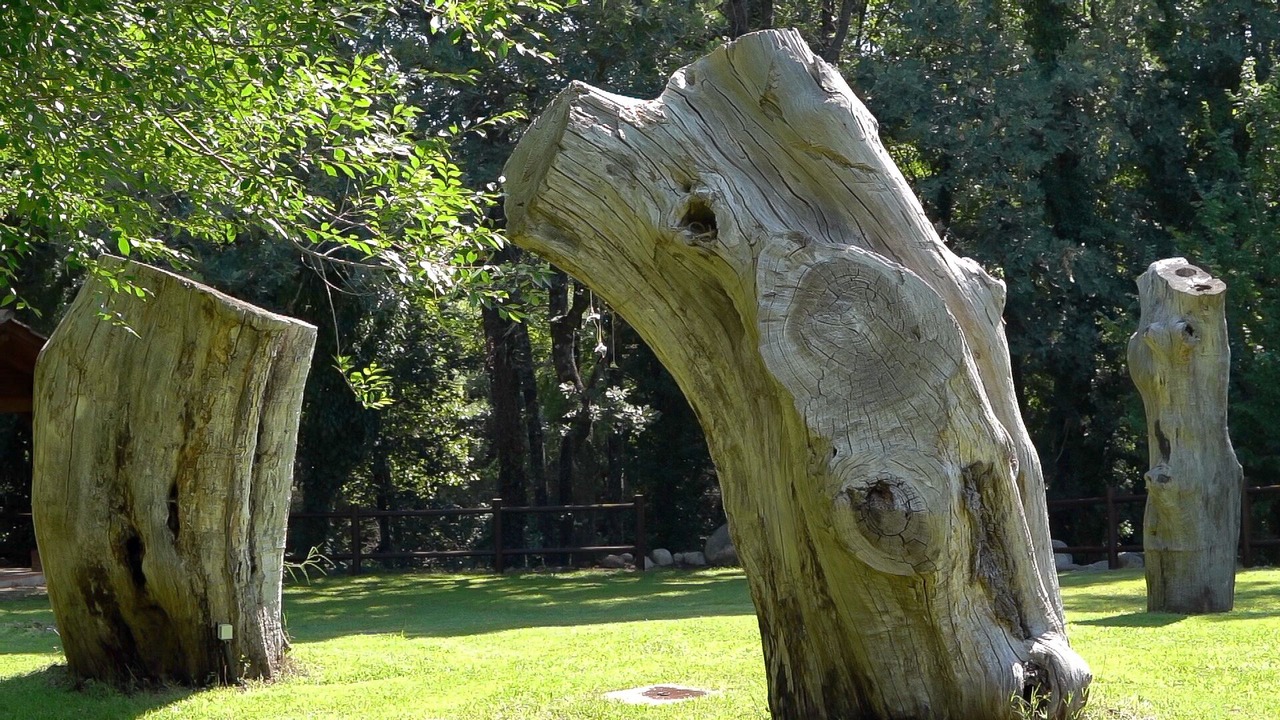 Photo of Outdoor in Arenas de San Pedro