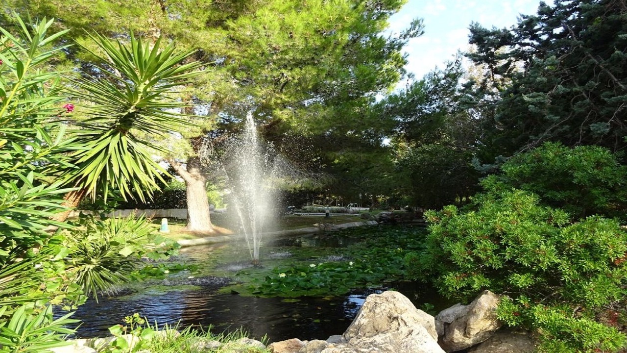 Photo of Outdoor in Puerto de Pollensa