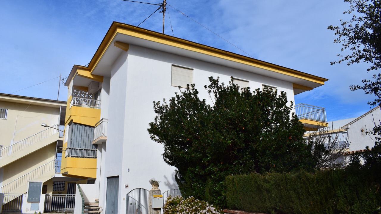 Photo of Outdoor in Oliva