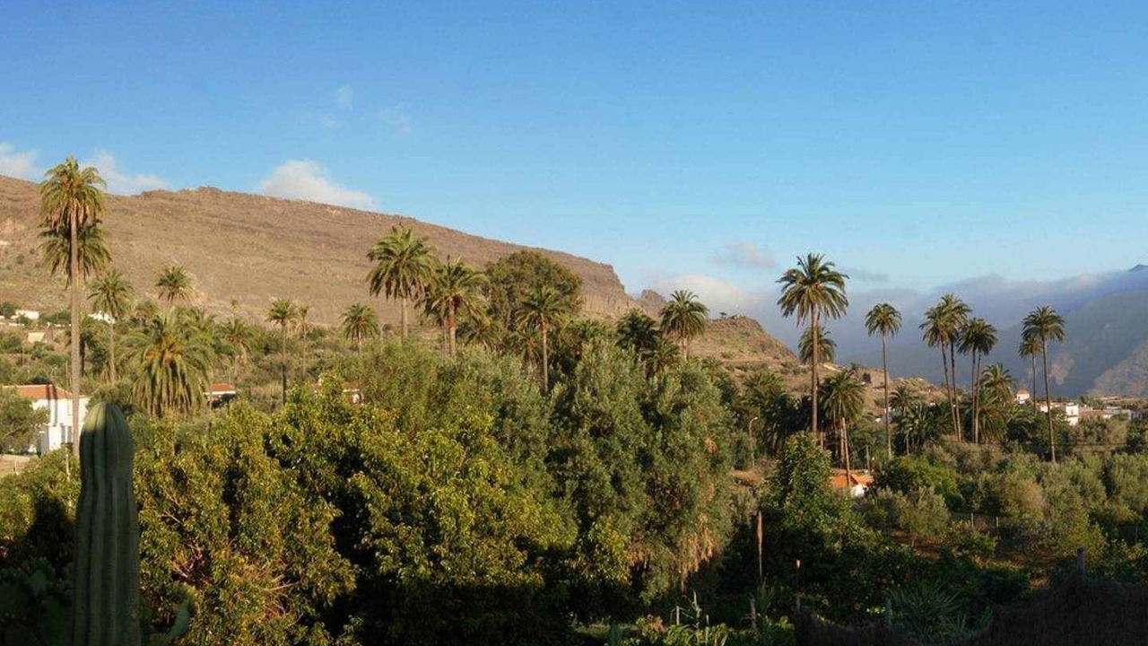 Photo of Others in Santa Lucia