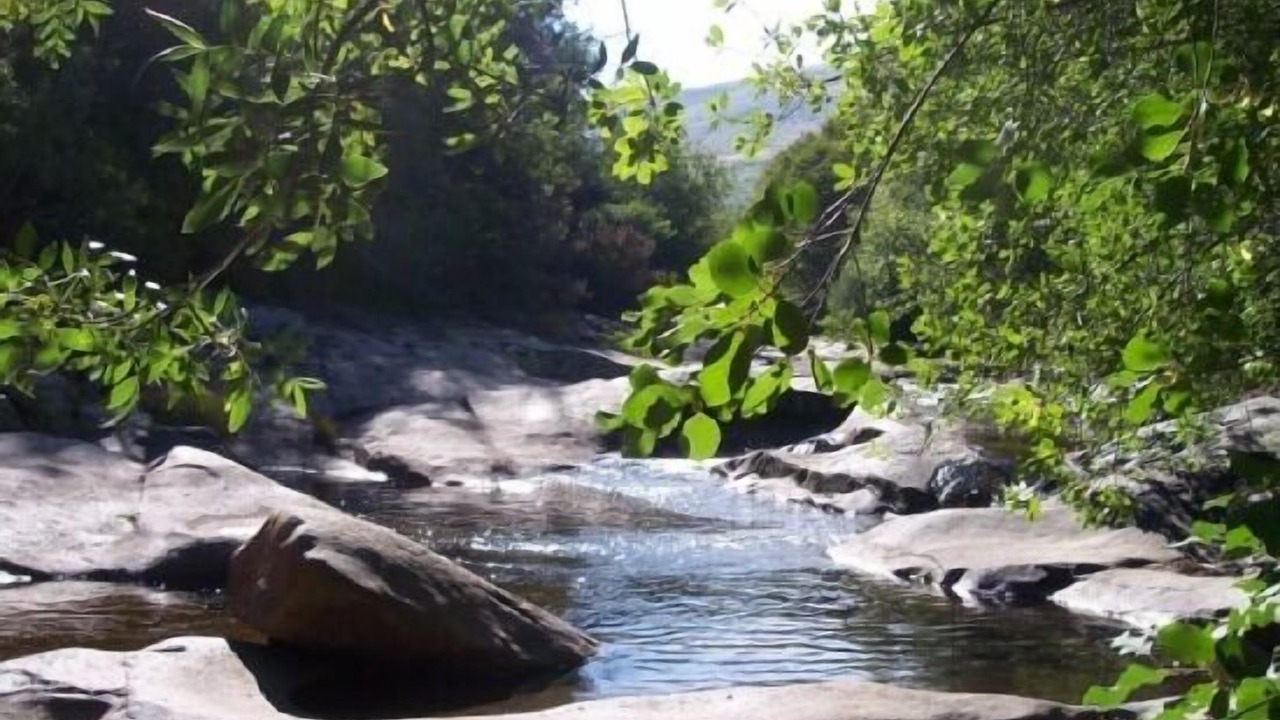Photo of Outdoor in La Carrera