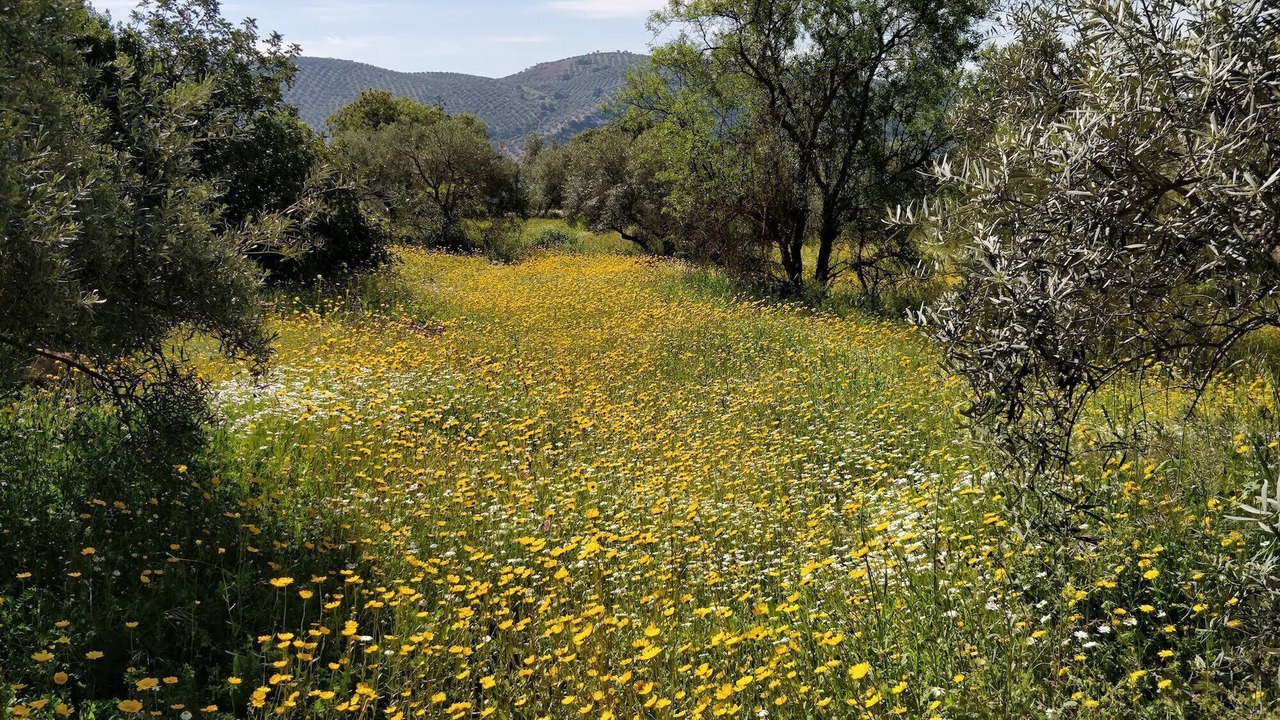 Photo of Outdoor in Iznajar