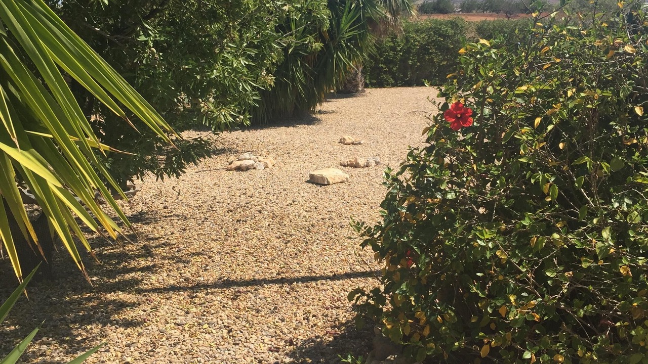 Photo of Outdoor in Casas de Tallante