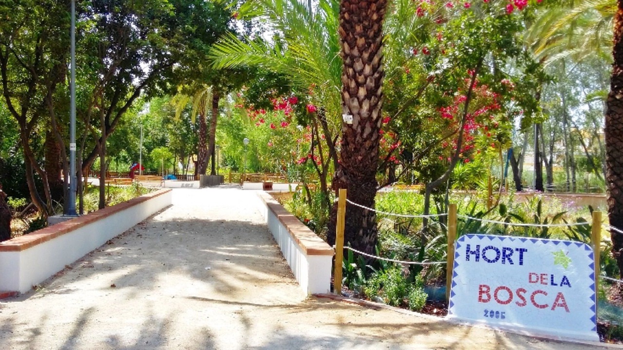 Photo of Outdoor in Oliva