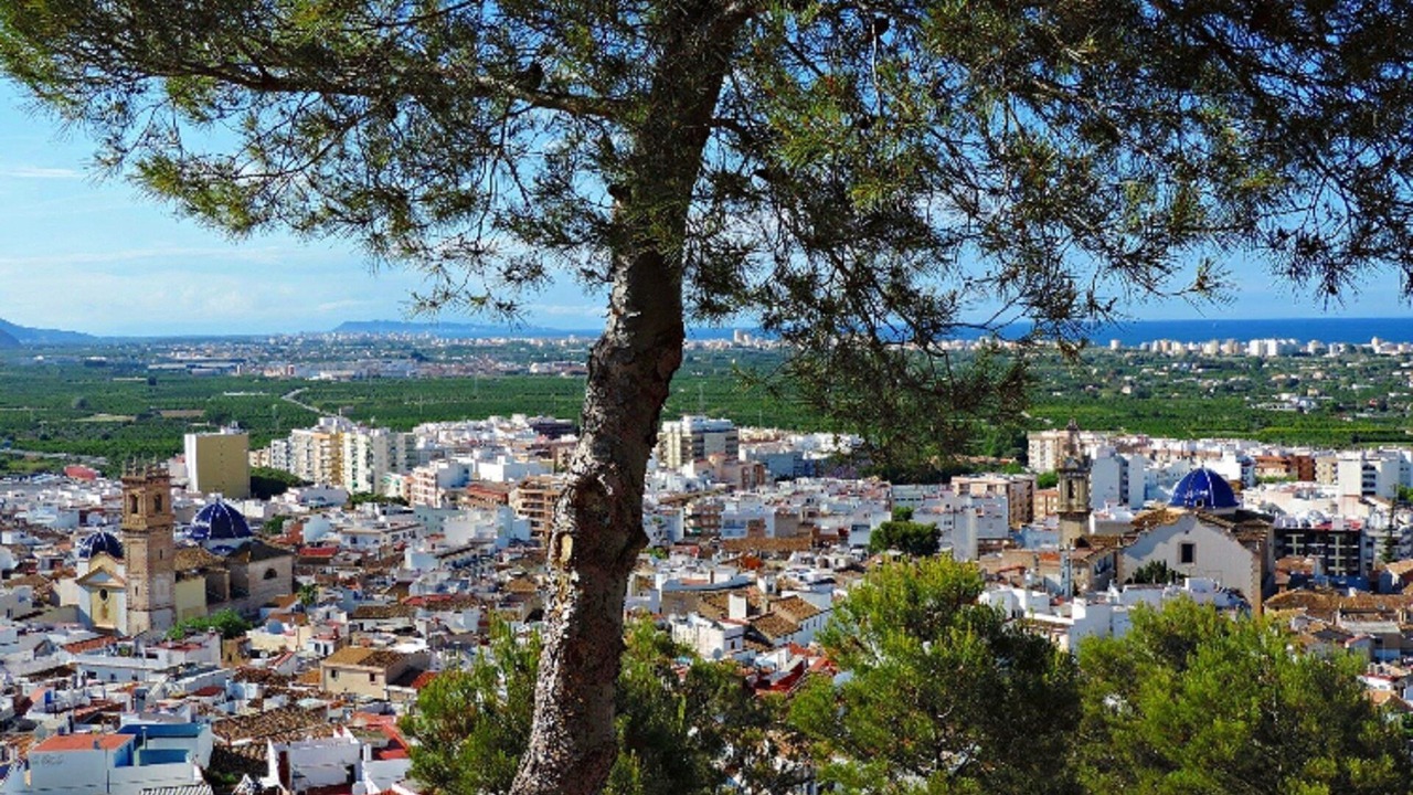 Photo of Outdoor in Oliva