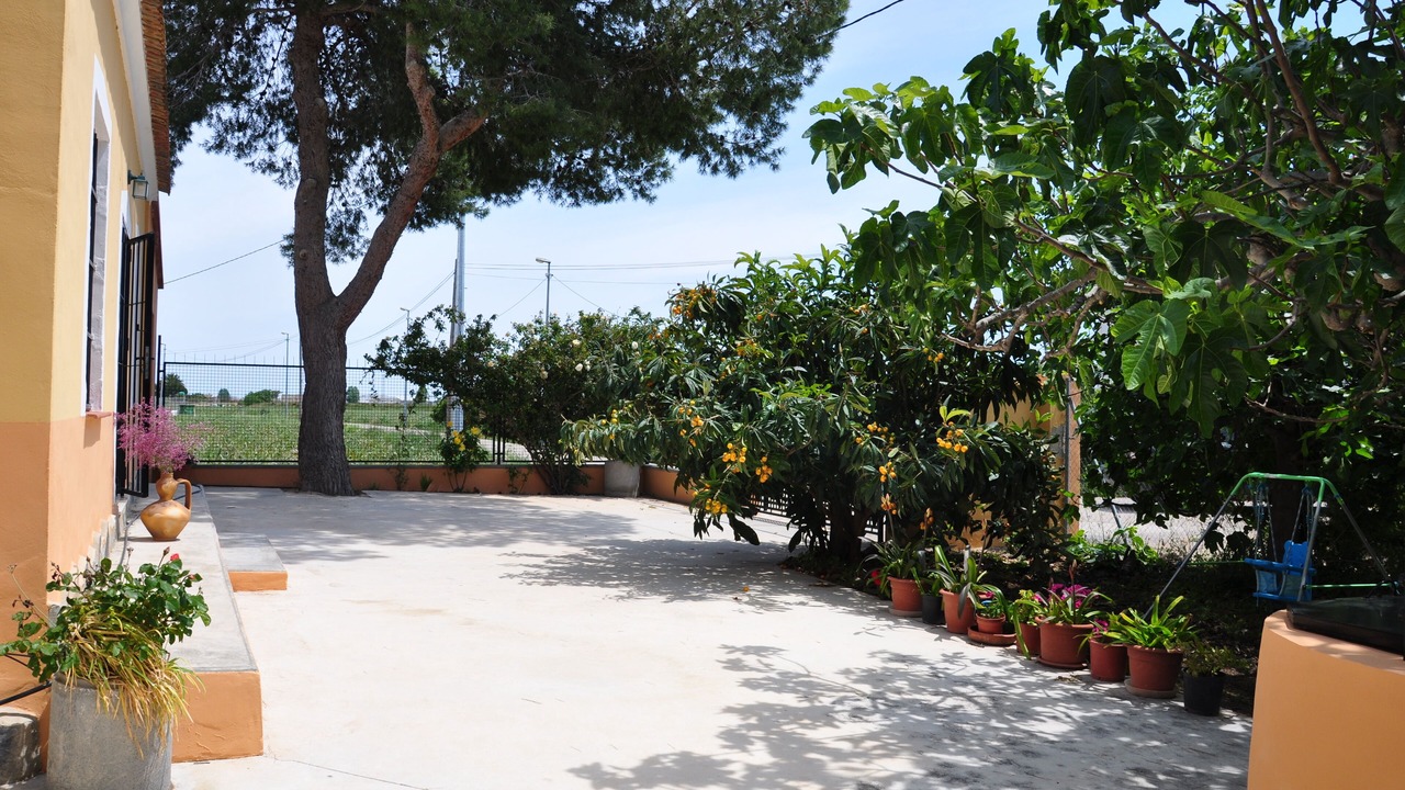Photo of Outdoor in Orihuela