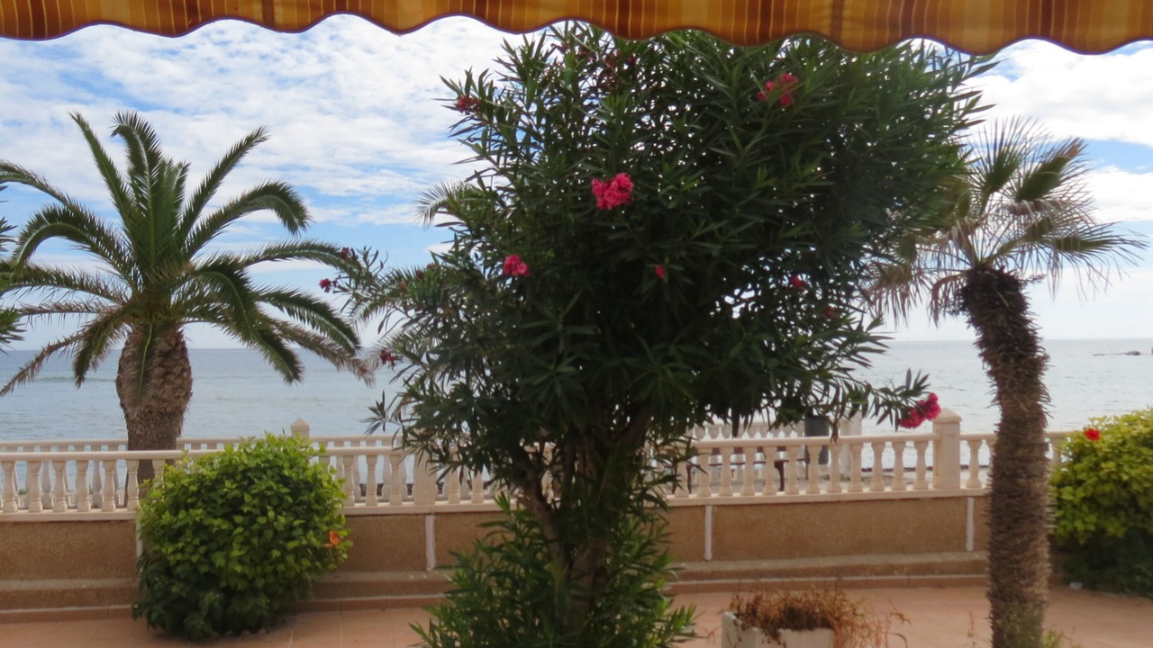 Photo of Outdoor in Pilar de la Horadada