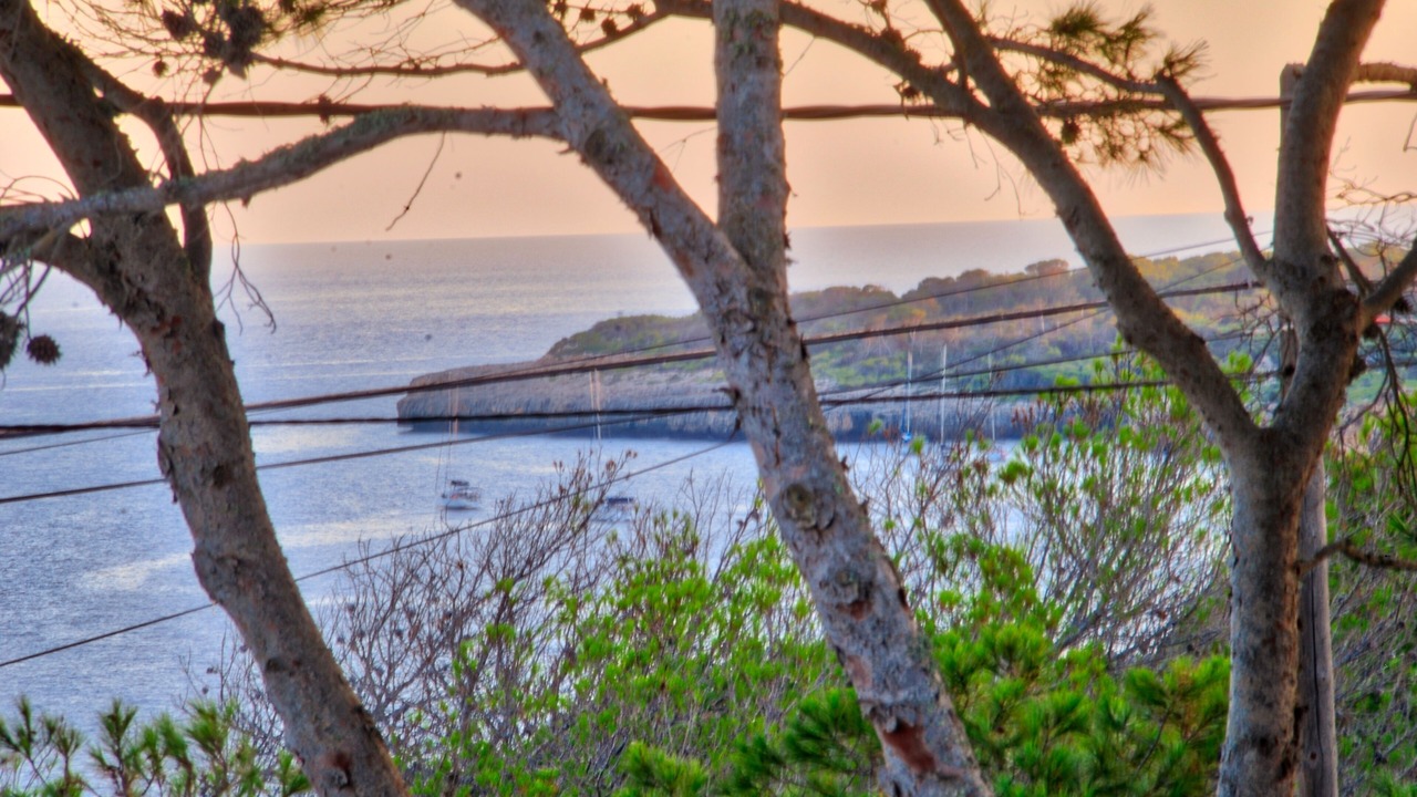 Photo of Outdoor in Cala Pi