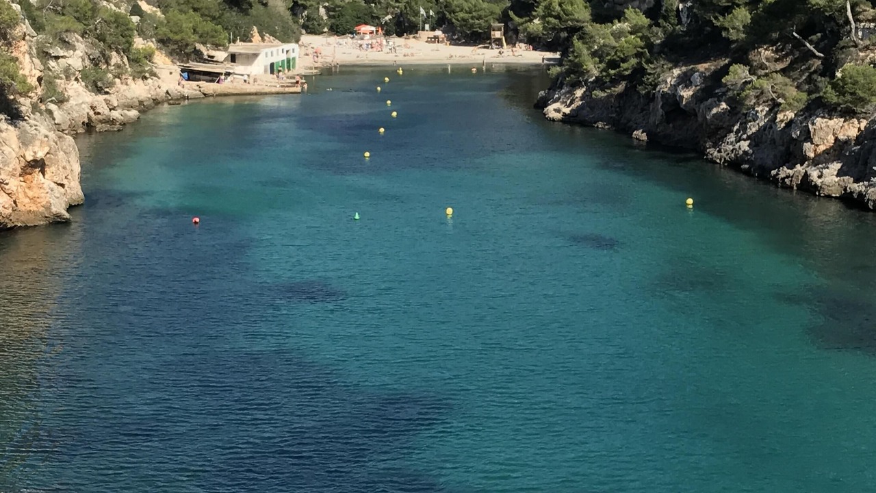 Photo of Others in Cala Pi