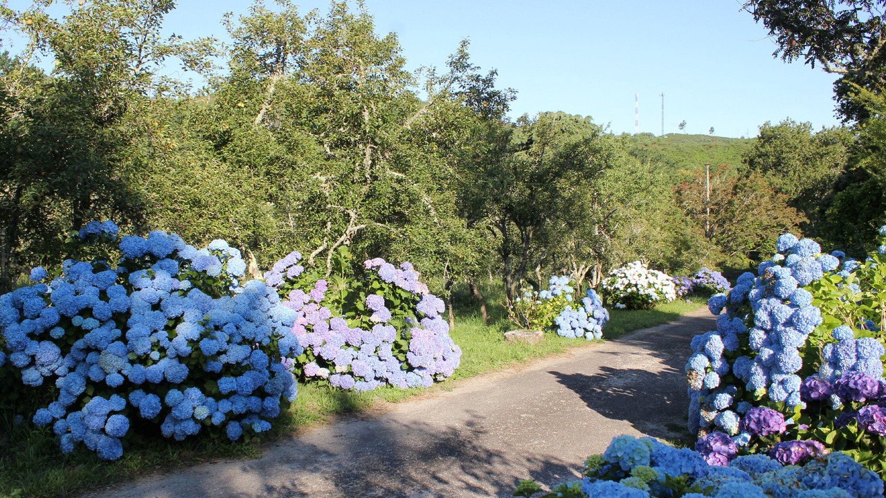Photo of Outdoor in Soutomaior