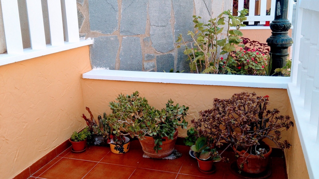 Photo of Outdoor in La Marina