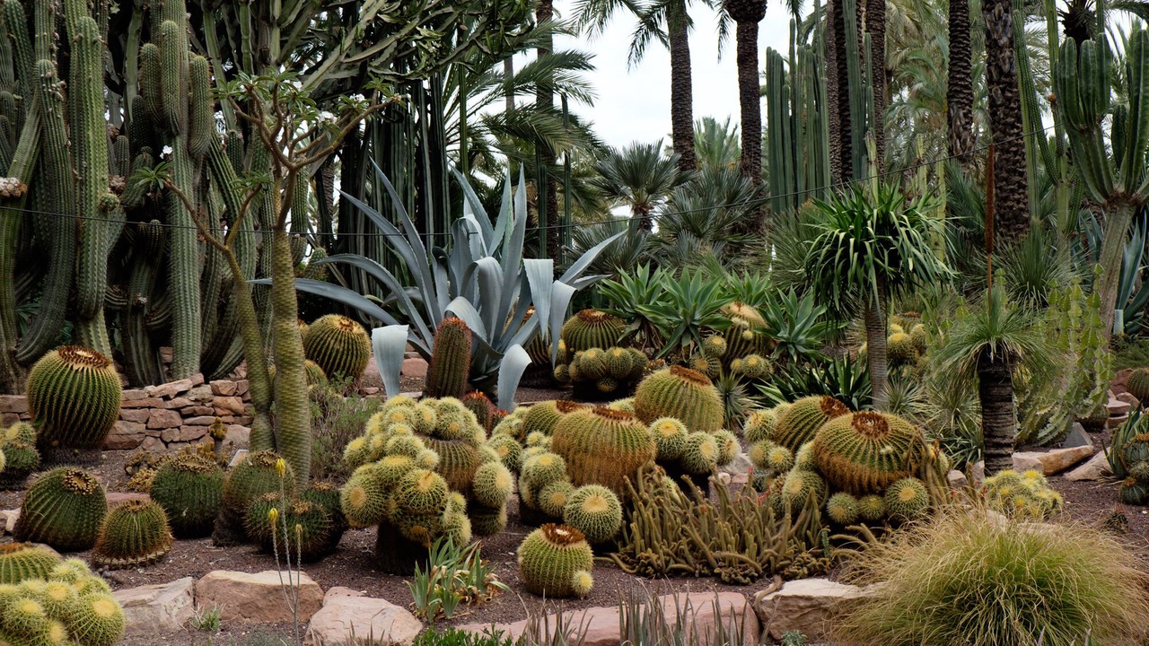 Photo of Outdoor in La Marina