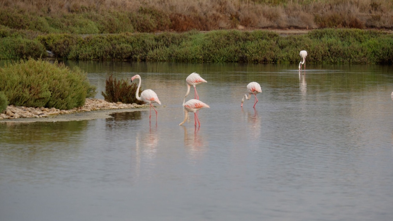 Photo of Outdoor in La Marina