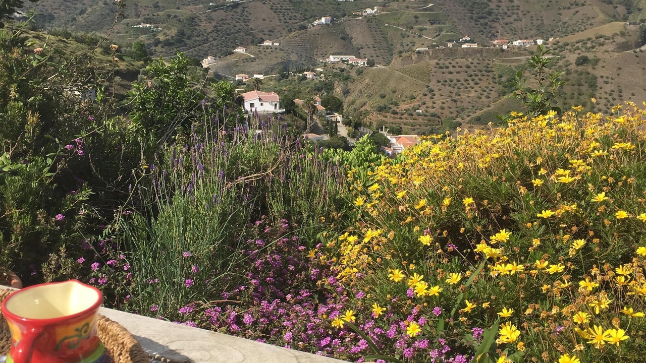 Photo of Others in Canillas de Albaida