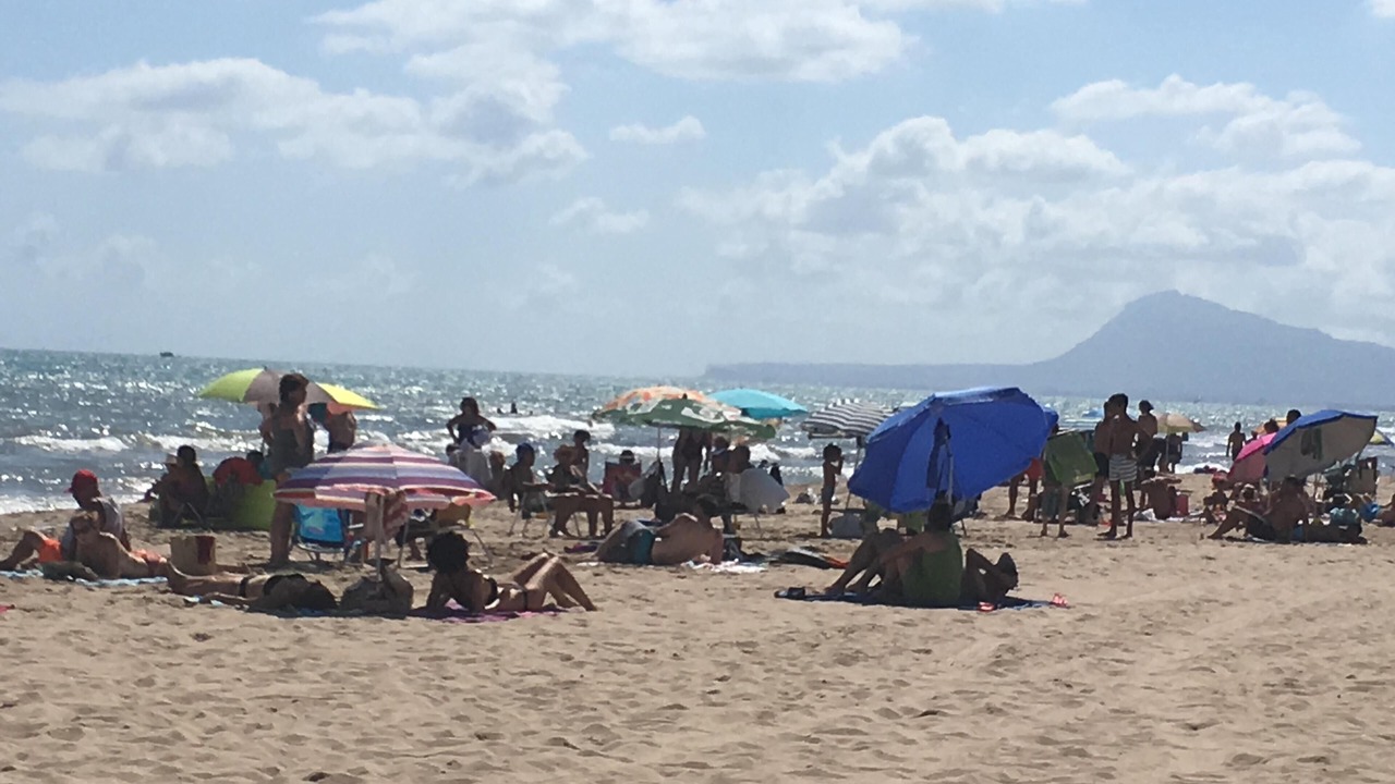 Photo of Others in Oliva