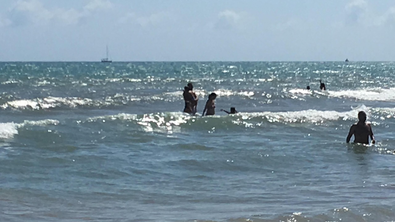 Photo of Others in Oliva