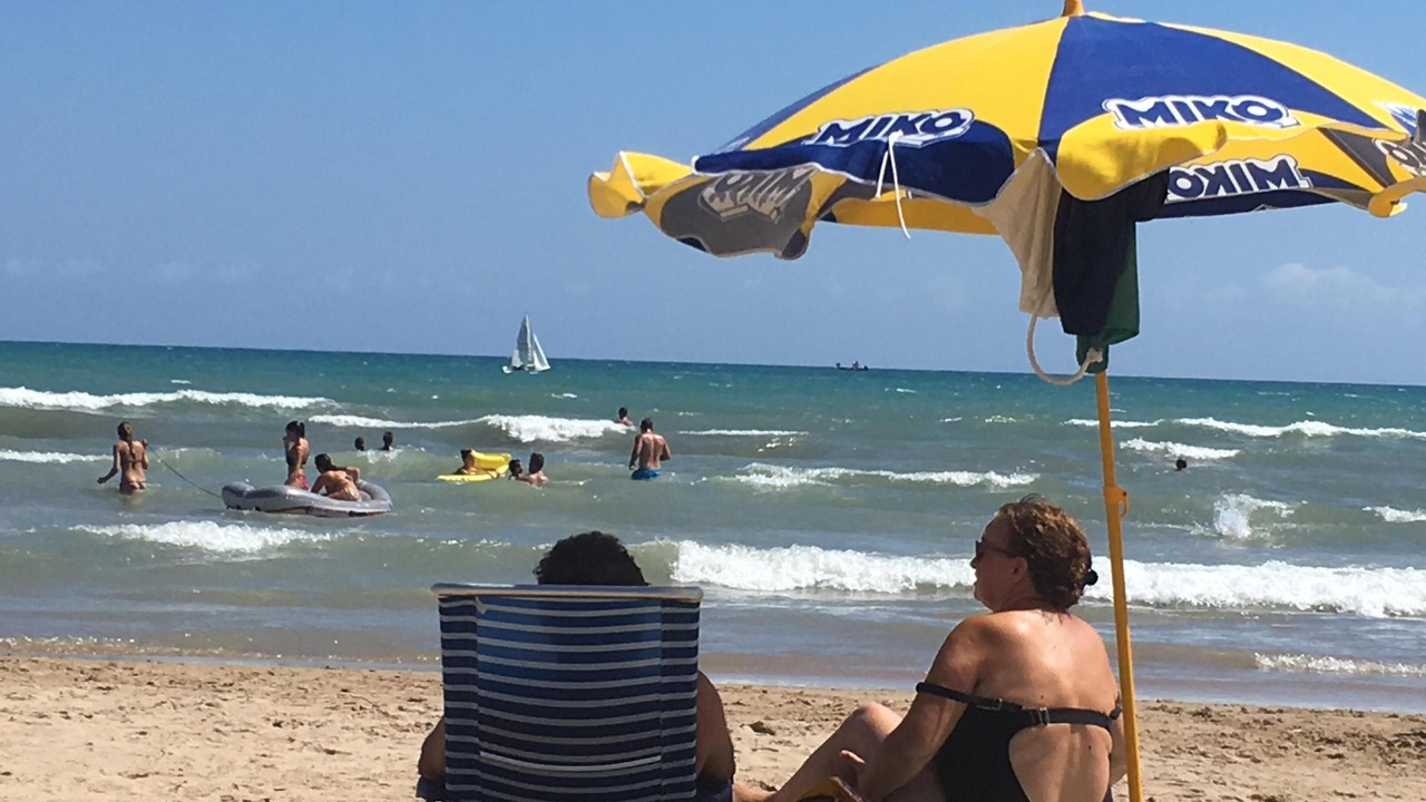Photo of Others in Oliva