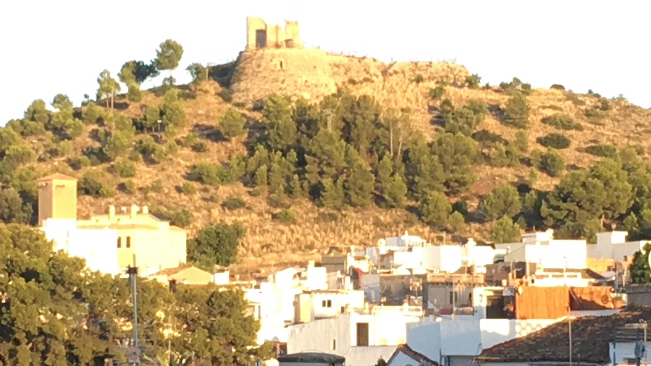 Photo of Others in Oliva