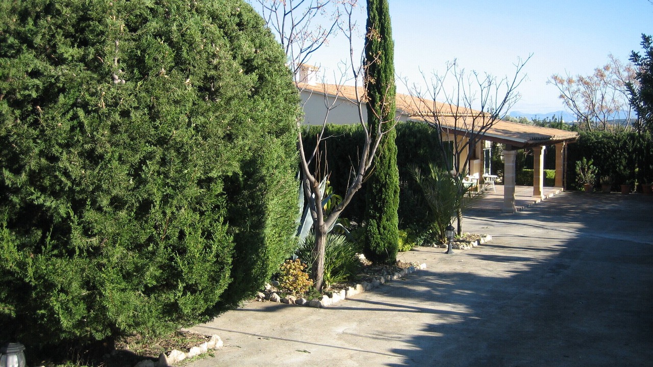 Photo of Outdoor in Pollensa