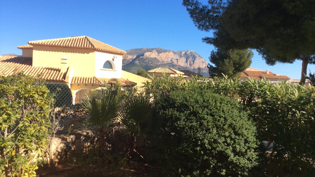 Photo of Outdoor in Pedreguer