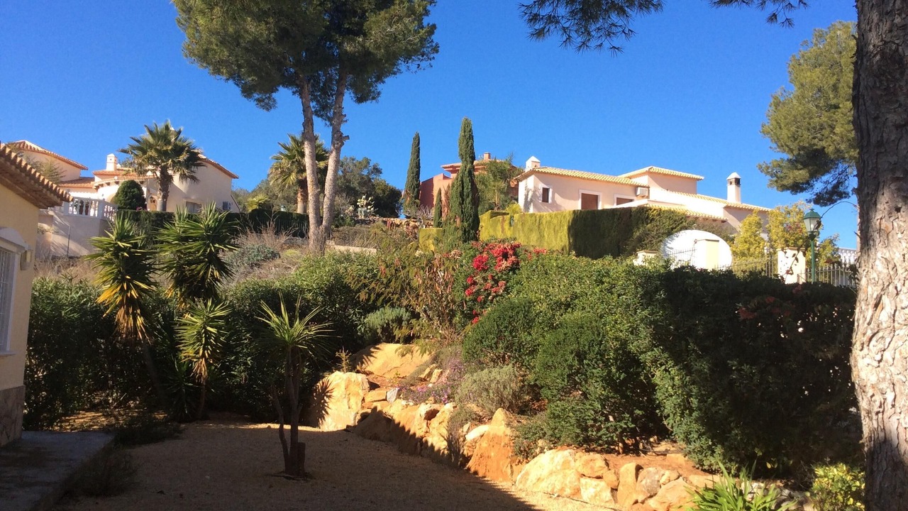 Photo of Outdoor in Pedreguer