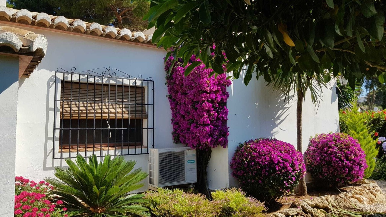 Photo of Outdoor in El Tosalet