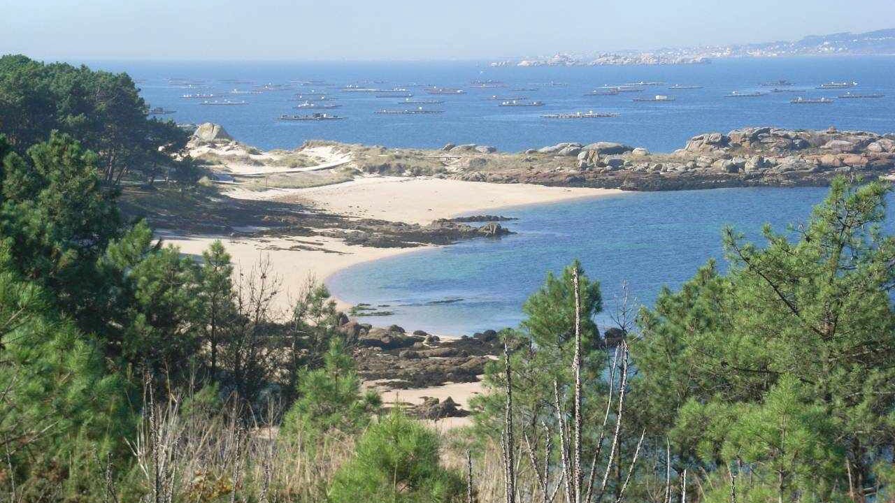 Photo of Others in Isla de Arosa