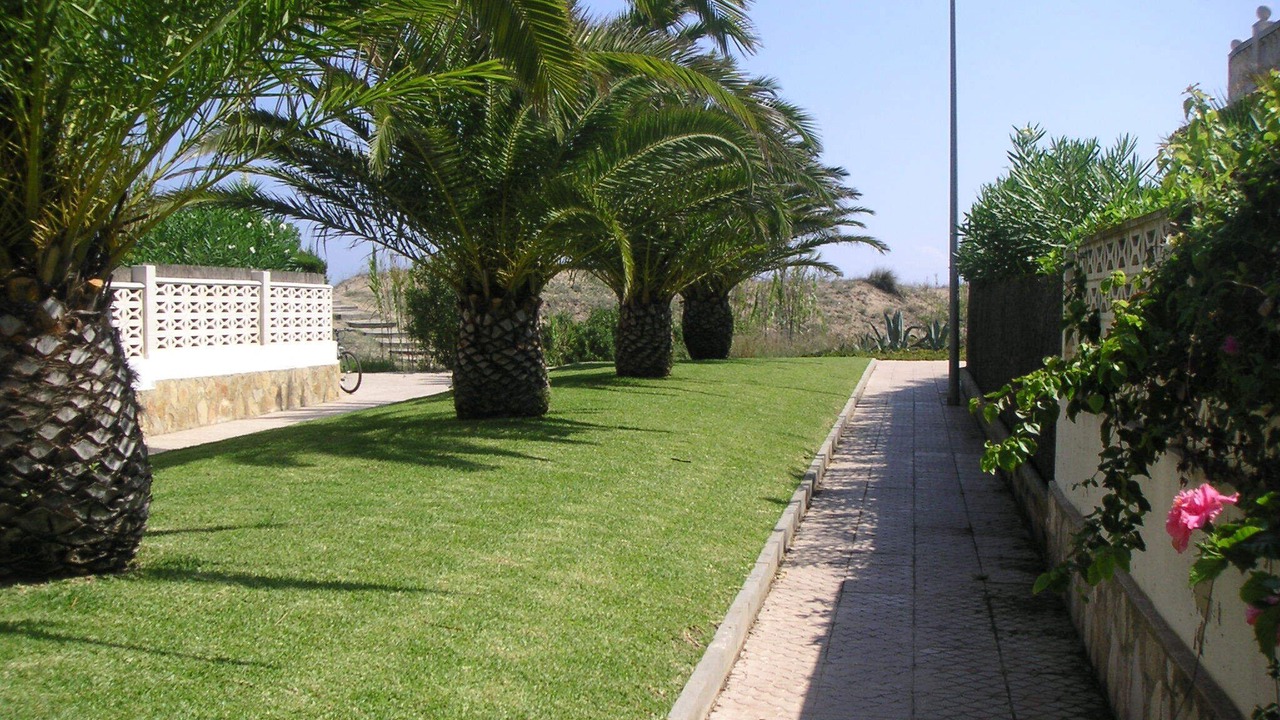 Photo of Outdoor in Oliva