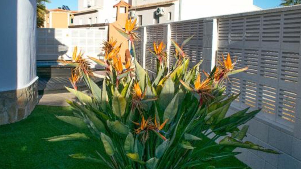 Photo of Outdoor in Oliva