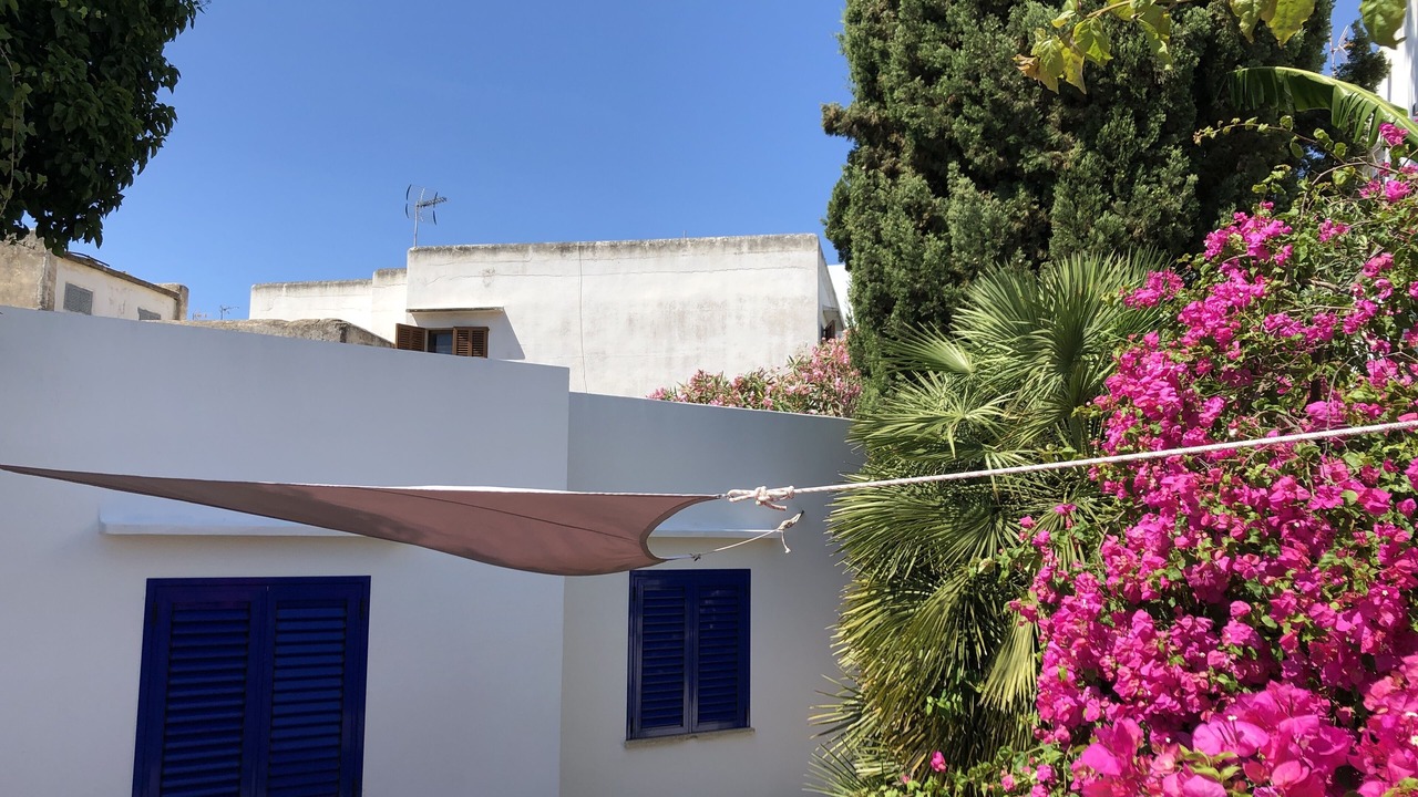 Photo of Outdoor in Cala d'Or