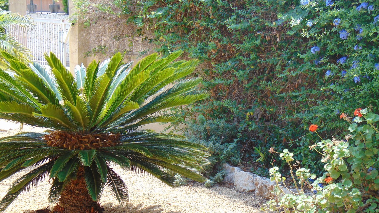 Photo of Outdoor in Javea