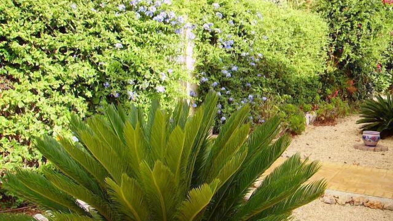 Photo of Outdoor in Javea
