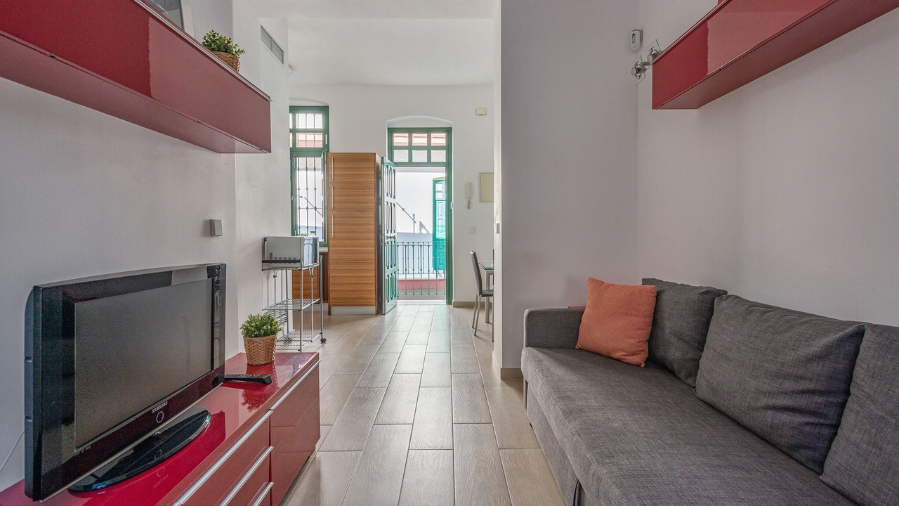 Photo of Livingroom in Triana