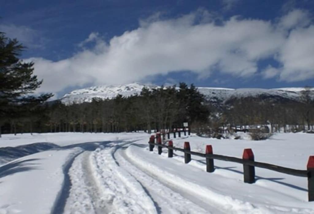 Photo of Outdoor in Rascafria